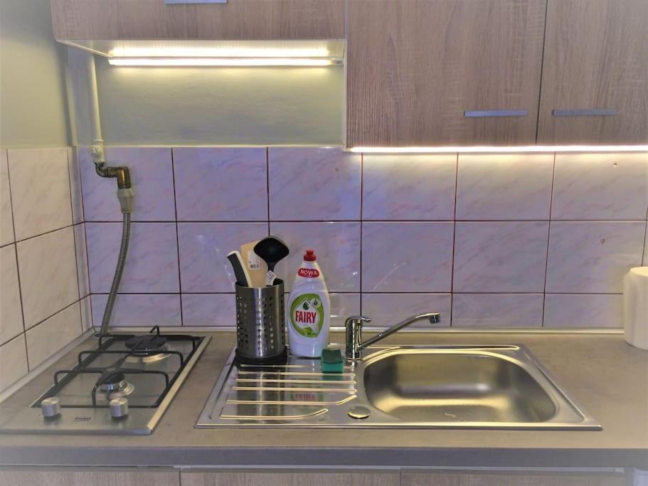 קרקוב 57 Lobzowska Bright Apartment מראה חיצוני תמונה